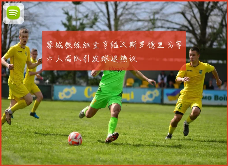 蓉城教练组金亨镒汉斯罗德里戈等六人离队引发球迷热议