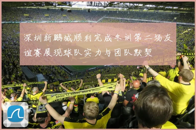 深圳新鹏城顺利完成冬训第二场友谊赛展现球队实力与团队默契