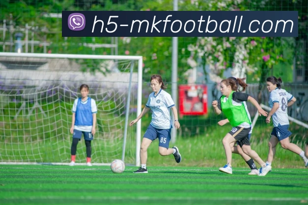 MK体育APP 封面图